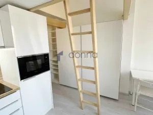 Pronájem bytu 1+kk, Praha, Hejtmánkova, 20 m2