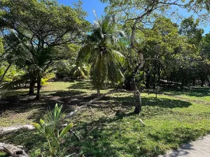 Prodej pozemku, Coxen Hole, Roatán, Honduras, 770 m2