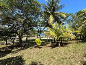 Prodej pozemku, Coxen Hole, Roatán, Honduras, 770 m2