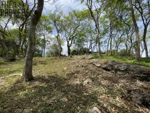 Prodej pozemku, Coxen Hole, Roatán, Honduras, 2400 m2
