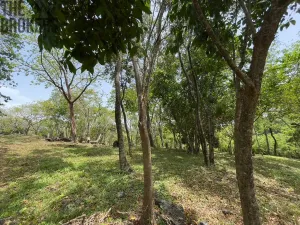 Prodej pozemku, Coxen Hole, Roatán, Honduras, 2400 m2