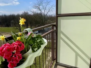 Pronájem bytu 2+kk, Ostrava, Polská, 48 m2