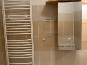 Pronájem bytu 2+kk, Ostrava - Slezská Ostrava, Michálkovická, 46 m2