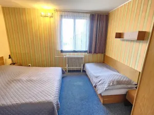 Prodej rodinného domu, Janov nad Nisou, 635 m2