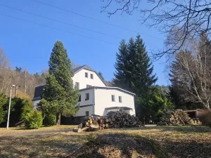 Prodej rodinného domu, Janov nad Nisou, 412 m2