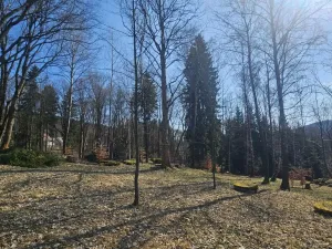 Prodej pozemku pro bydlení, Janov nad Nisou, 8231 m2