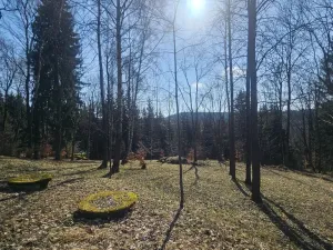 Prodej pozemku pro bydlení, Janov nad Nisou, 8231 m2