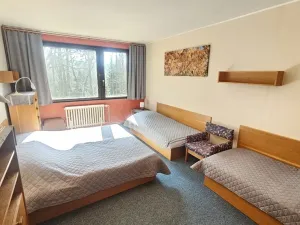 Prodej rodinného domu, Janov nad Nisou, 1047 m2
