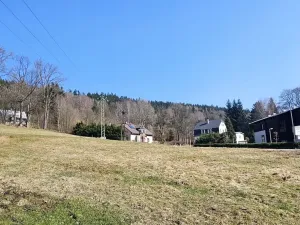 Prodej rodinného domu, Janov nad Nisou, 1047 m2