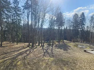 Prodej rodinného domu, Janov nad Nisou, 1047 m2