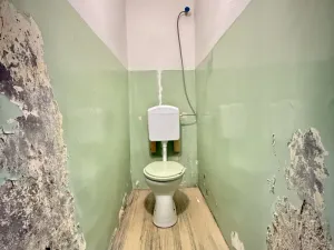 Prodej chalupy, Maletín - Javoří, 95 m2