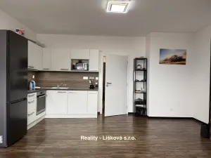 Pronájem bytu 1+kk, Ústí nad Labem, Velká Hradební, 40 m2