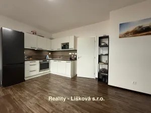 Pronájem bytu 1+kk, Ústí nad Labem, Velká Hradební, 40 m2