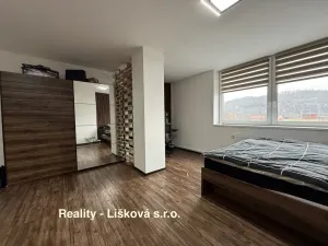 Pronájem bytu 1+kk, Ústí nad Labem, Velká Hradební, 40 m2