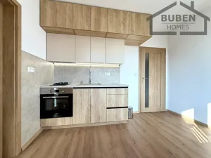 Prodej bytu 1+1, Bor, Přimdská, 35 m2