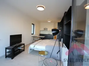 Pronájem bytu 1+kk, Praha - Karlín, U Mlýnského kanálu, 42 m2