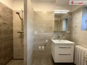 Pronájem bytu 1+kk, Břeclav, Bří. Mrštíků, 25 m2