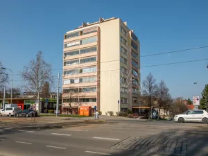 Prodej bytu 4+kk, Praha - Žižkov, U kněžské louky, 81 m2