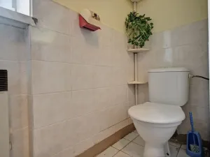 Prodej bytu 2+1, Rudník, 55 m2