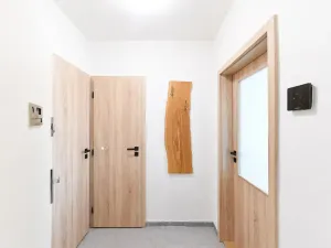 Pronájem bytu 1+kk, Praha - Vinohrady, náměstí Jiřího z Lobkovic, 29 m2