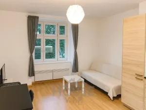 Prodej bytu 2+kk, Praha - Žižkov, Jana Želivského, 44 m2
