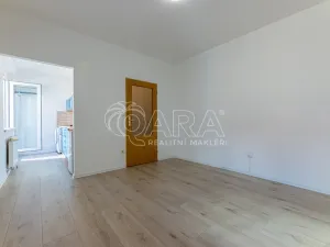 Pronájem bytu 1+kk, Praha - Vinohrady, 24 m2