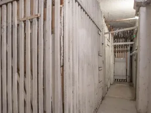 Pronájem bytu 3+kk, Praha, Dejvická, 106 m2