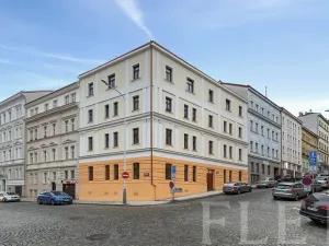 Pronájem bytu 1+kk, Praha - Žižkov, Milíčova, 28 m2