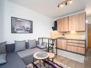 Pronájem bytu 1+kk, Ústí nad Labem, Větrná, 20 m2