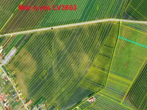 Prodej podílu pole, Moravská Nová Ves, 890 m2