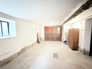 Prodej vícegeneračního domu, Dlouhá Loučka, Na Fibichu, 238 m2