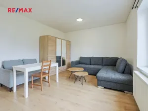 Pronájem bytu 2+kk, Přehýšov, 54 m2