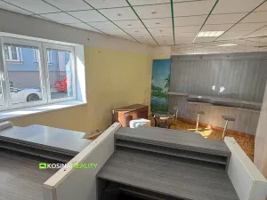 Prodej rodinného domu, Kynšperk nad Ohří, Maxima Gorkého, 300 m2