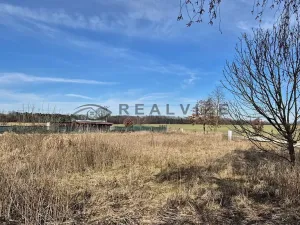 Prodej pozemku pro bydlení, Čejkovice, 1055 m2