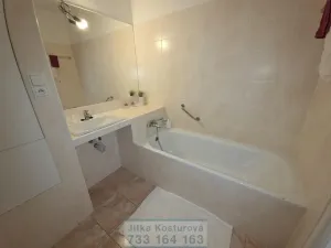 Prodej bytu 3+1, Opava - Kateřinky, Holasická, 76 m2