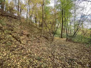 Prodej pozemku, Svijany, 2639 m2