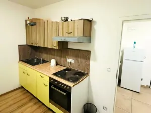 Prodej bytu 2+kk, Plzeň - Skvrňany, Kreuzmannova, 48 m2