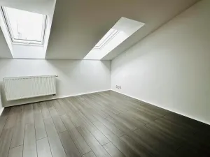 Pronájem bytu 4+kk, Plzeň - Jižní Předměstí, Mánesova, 145 m2