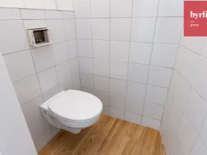 Prodej obchodního prostoru, Opava, Rolnická, 44 m2