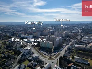 Prodej obchodního prostoru, Opava, Rolnická, 44 m2