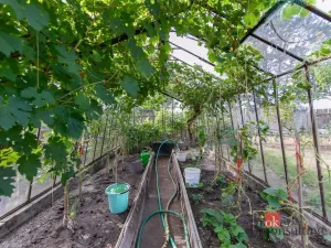 Prodej chaty, Nýřany - Kamenný Újezd, 20 m2