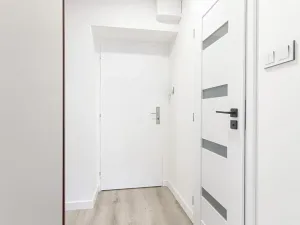 Pronájem bytu 2+kk, Ostrava, Čujkovova, 29 m2