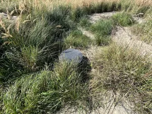 Prodej pozemku pro bydlení, Bavorov - Svinětice, 1396 m2