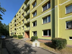 Pronájem bytu 1+1, Jílové, Družstevní, 30 m2