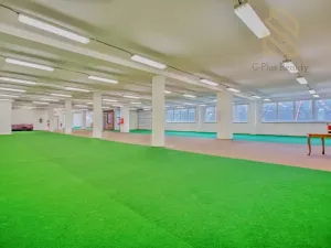 Pronájem obchodního prostoru, Polepy, 1200 m2