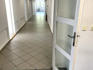 Pronájem kanceláře, Praha - Žižkov, U zásobní zahrady, 476 m2