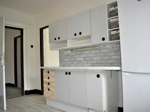 Prodej rodinného domu, Staré Hradiště, U Špejcharu, 350 m2