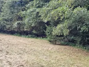 Prodej pozemku pro bydlení, Zbraslavice, 1832 m2