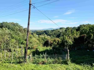 Prodej rodinného domu, Jeseník, 350 m2