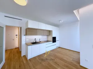 Pronájem bytu 1+kk, Olomouc, Ostrovní, 43 m2